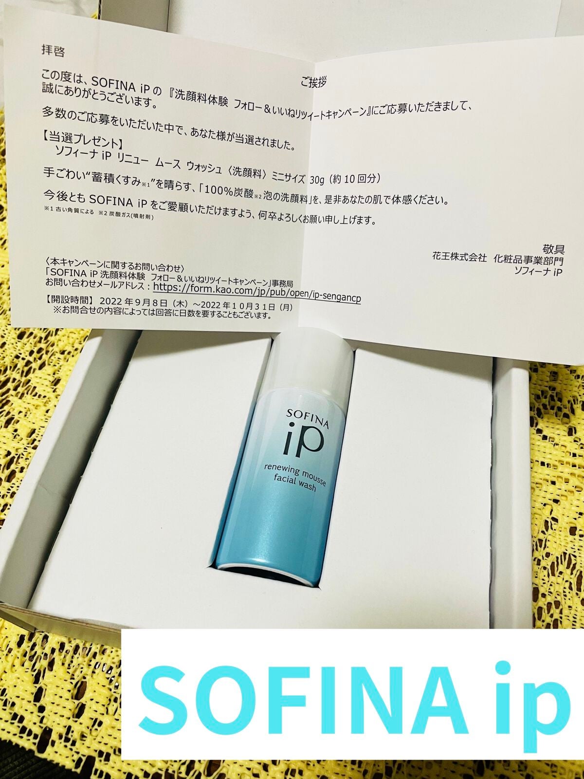 ソフィーナ iP リニュー ムース ウォッシュ/SOFINA iP/洗顔フォームを使ったクチコミ(1枚目)