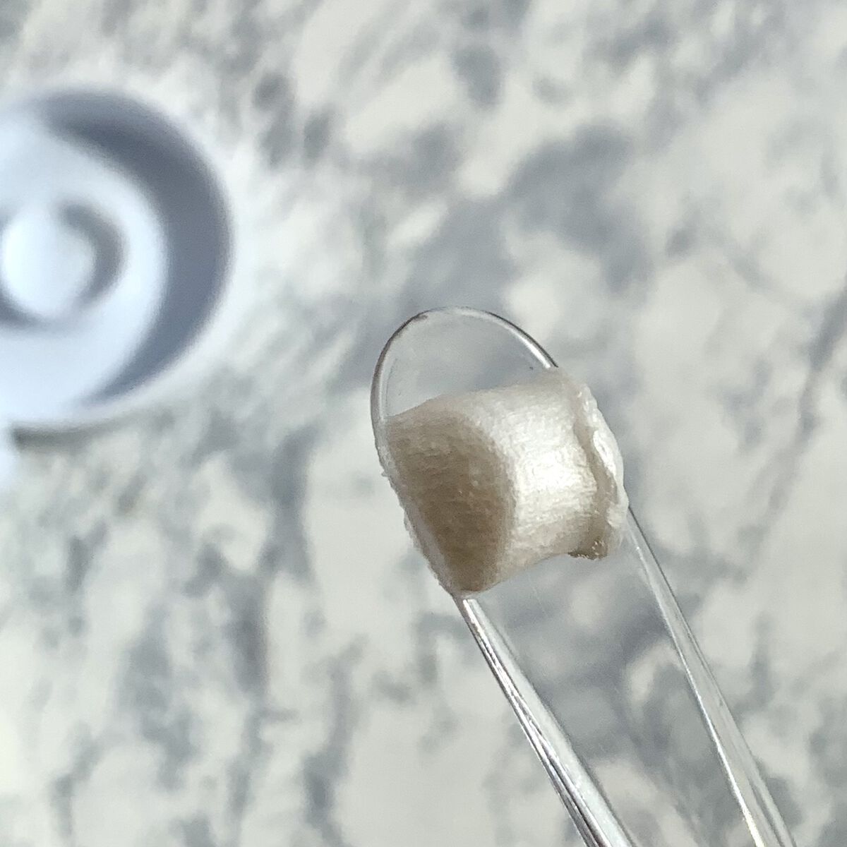 金色うさぎのクチコミ「スッキリする洗顔が好きだけど
これはちょっとスッキリしすぎてしまった。
シェルクルール
ウィプ.....」（3枚目）