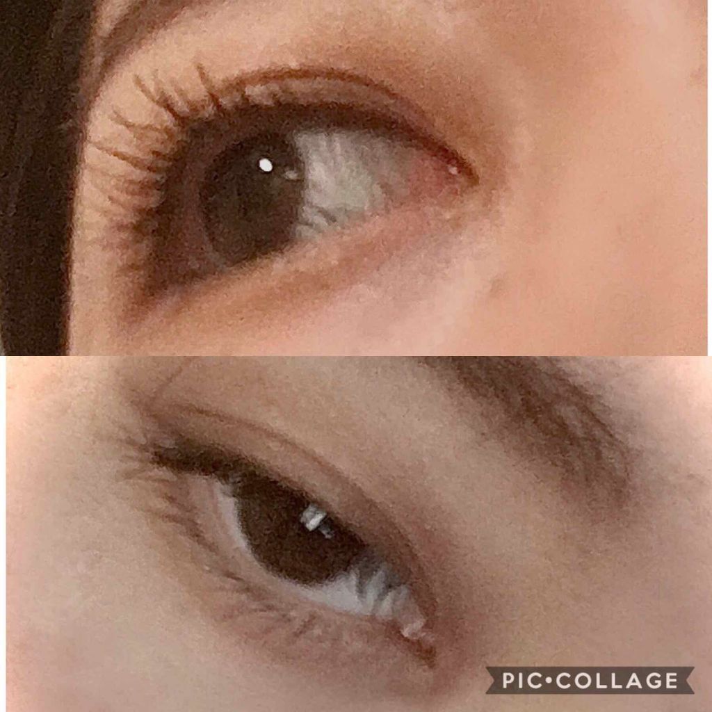 クイックラッシュカーラー/キャンメイク/マスカラ下地を使ったクチコミ(1枚目)