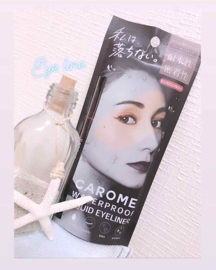 ウォータープルーフ リキッドアイライナー/CAROME./リキッドアイライナーを使ったクチコミ(1枚目)