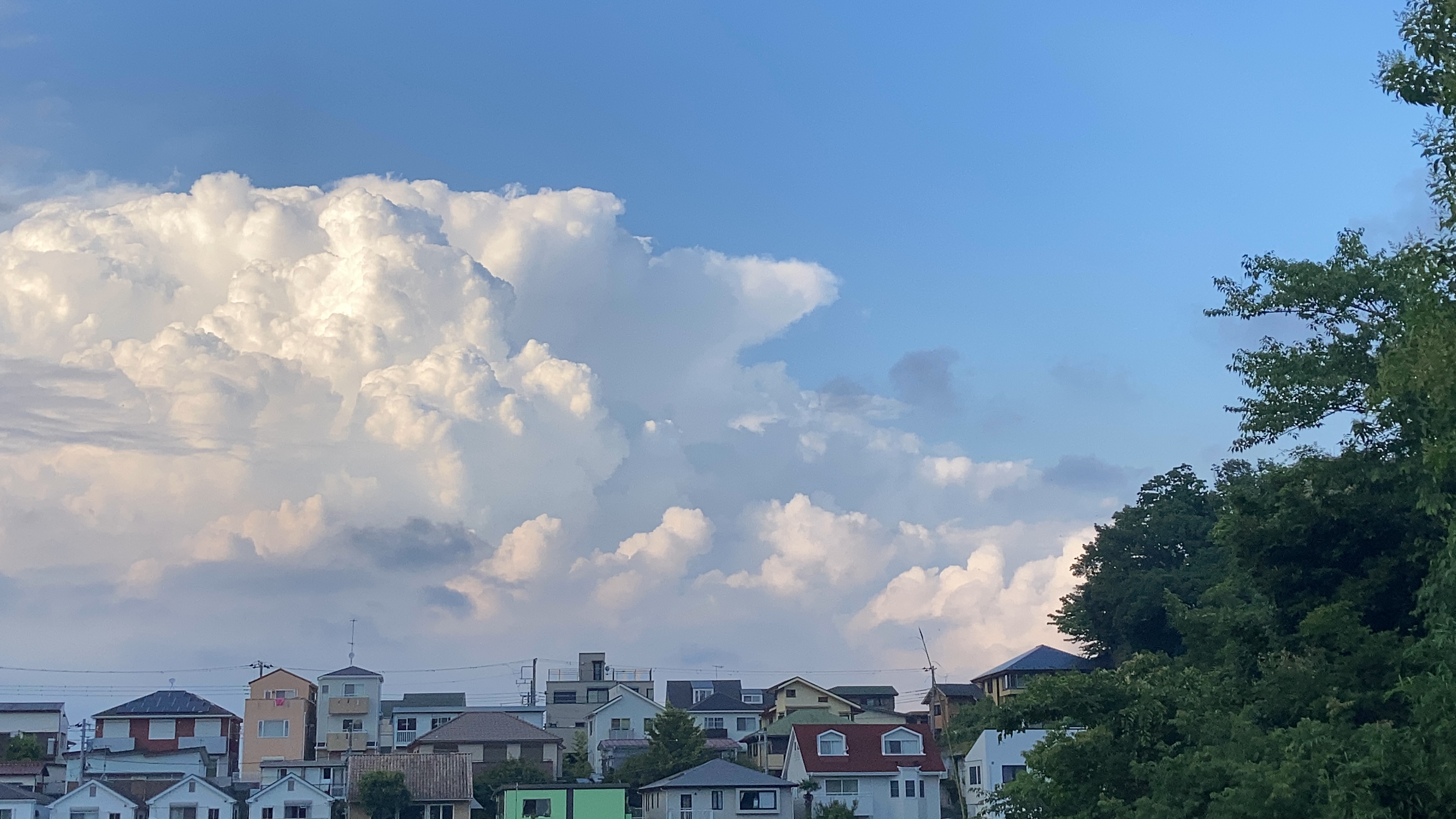 カワイ肝油ドロップC(医薬品)/河合製薬/その他を使ったクチコミ（1枚目）