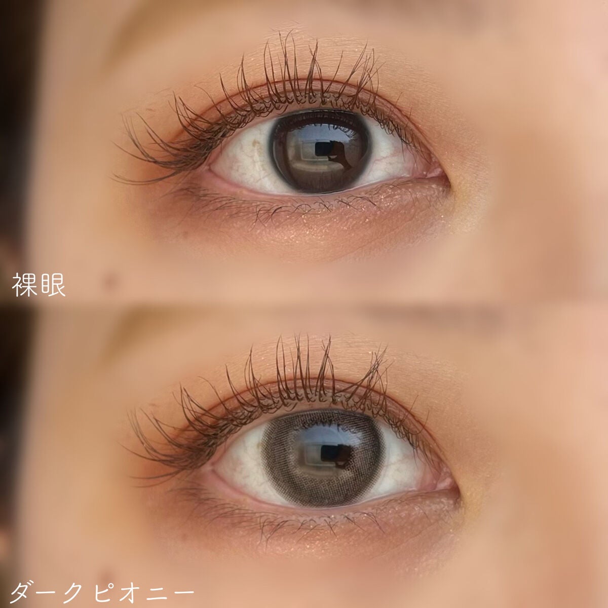 MOLAK 1day/MOLAK/ワンデー(1DAY)カラコンを使ったクチコミ(2枚目)