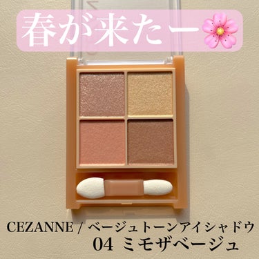 ベージュトーンアイシャドウ/CEZANNE/アイシャドウパレットを使ったクチコミ（1枚目）