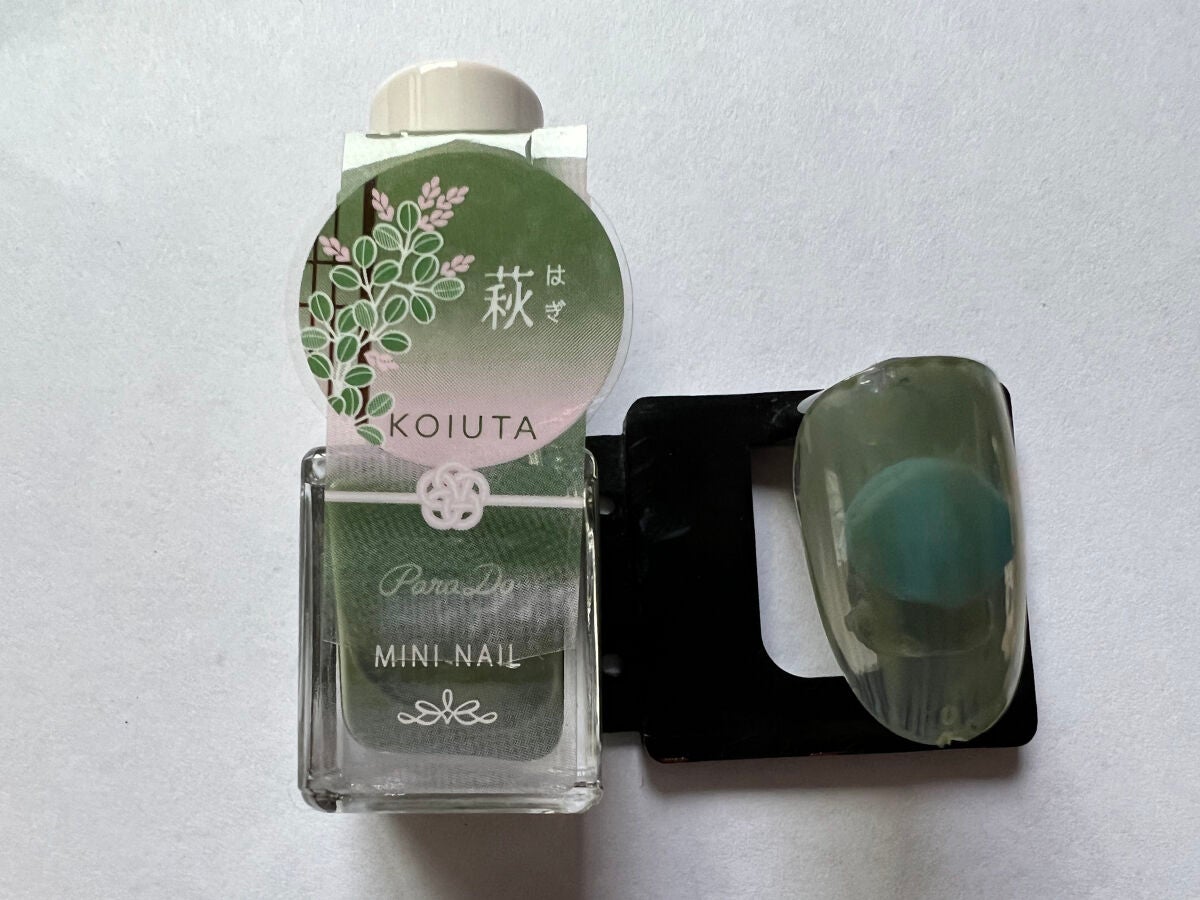 ミニネイル/パラドゥ/マニキュアを使ったクチコミ(2枚目)