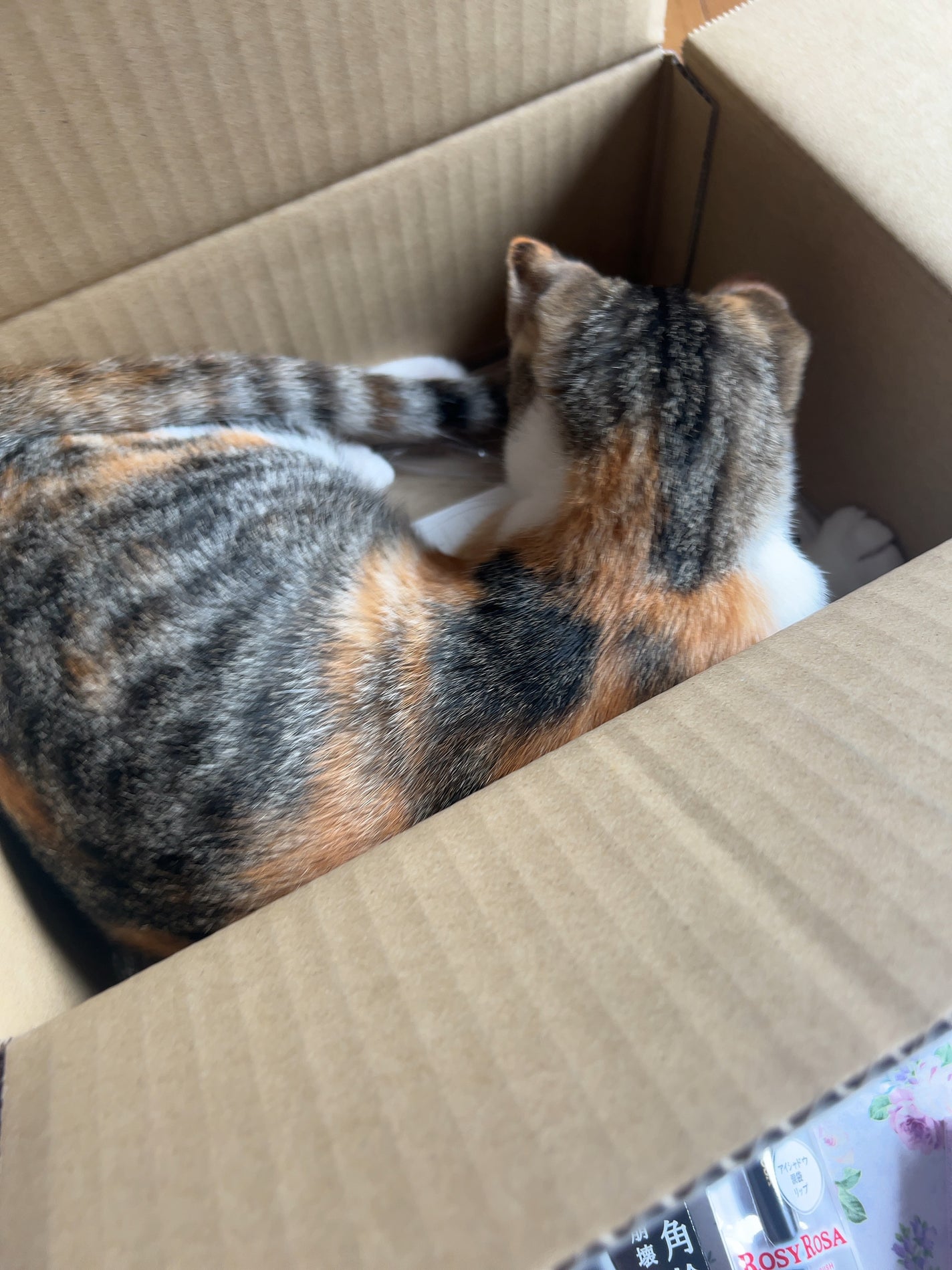 ソフィーナ iP ポア クリアリング ジェル ウォッシュ/SOFINA iP/その他洗顔料を使ったクチコミ(2枚目)