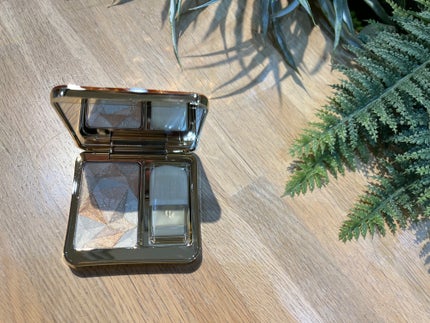 ル・レオスールデクラ /クレ・ド・ポー ボーテ/パウダーハイライトを使ったクチコミ(1枚目)