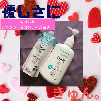 シャンプー/コンディショナー/キュレル/市販シャンプーを使ったクチコミ(1枚目)