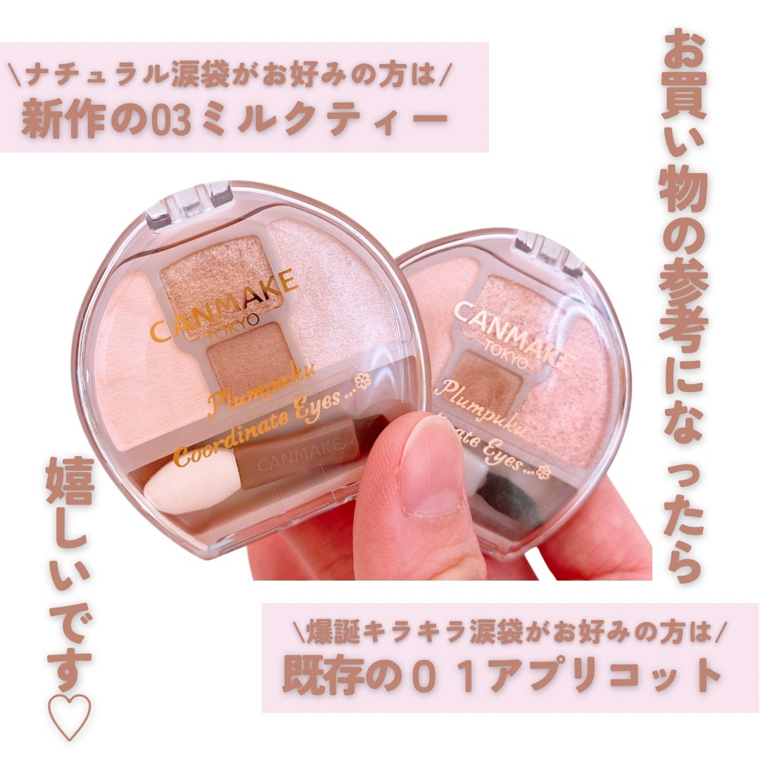 プランぷくコーデアイズ/キャンメイク/パウダーアイシャドウを使ったクチコミ(5枚目)