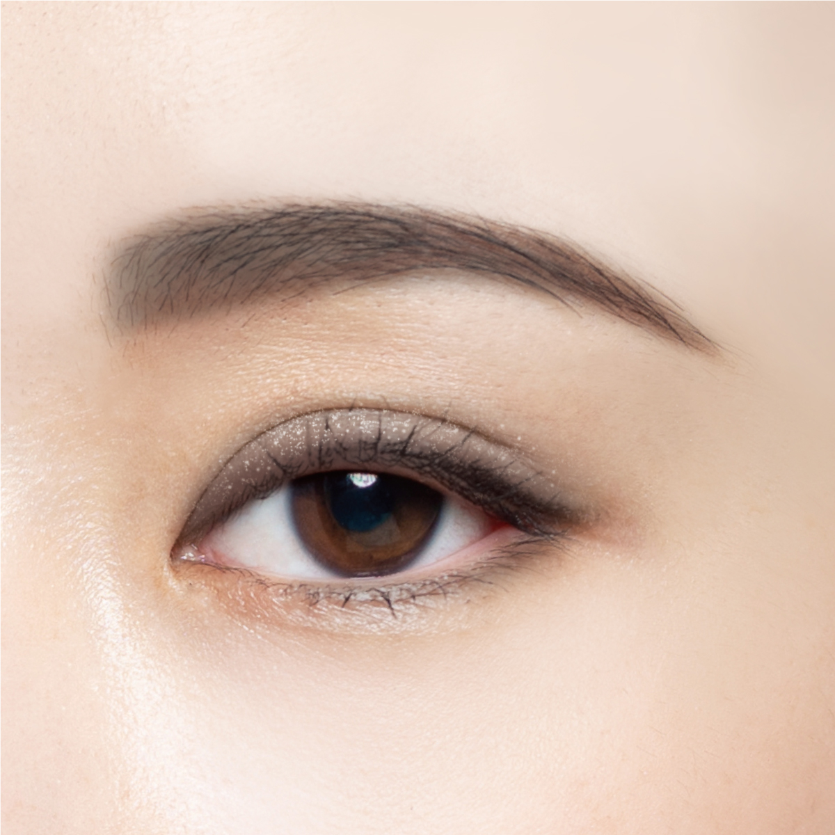 フェイスカラーパレット 510 モノクロームグレイ