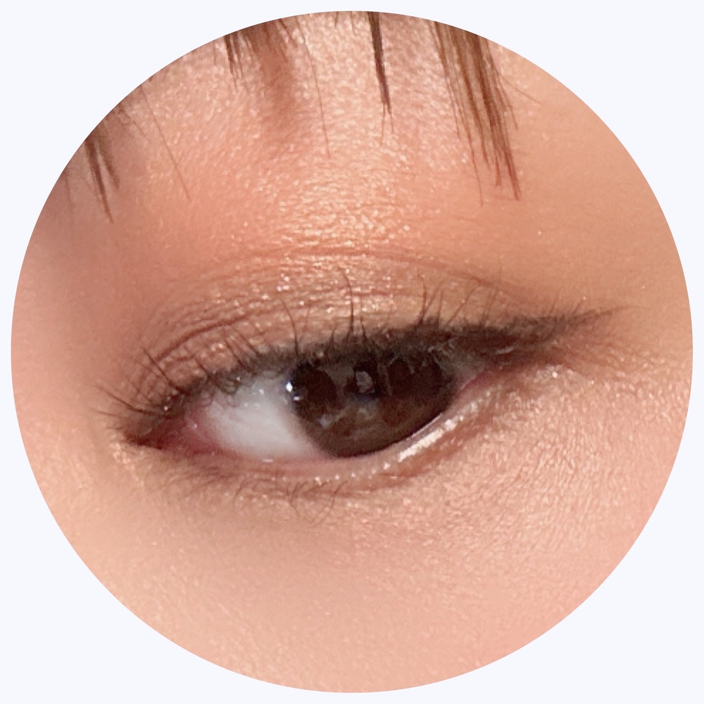 ラズル アイカラー/エレガンス ラズル /単色アイシャドウを使ったクチコミ(4枚目)