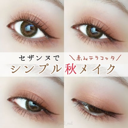 シングルカラーアイシャドウ/CEZANNE/単色アイシャドウを使ったクチコミ(1枚目)