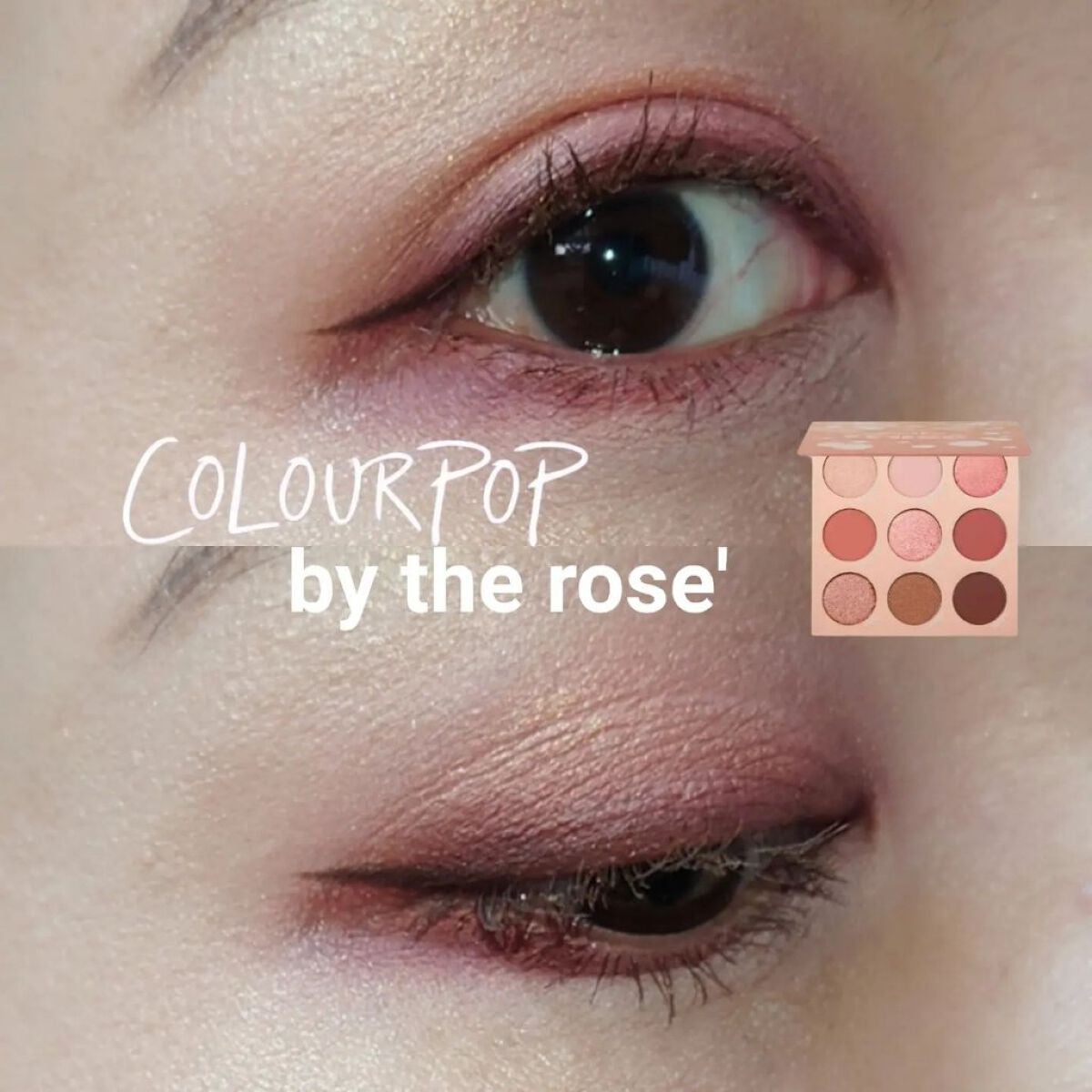 by the rose/ColourPop/アイシャドウパレットを使ったクチコミ(1枚目)