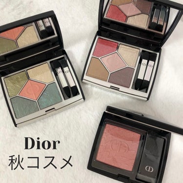 サンク クルール クチュール＜バーズ オブ ア フェザー＞/Dior/パウダーアイシャドウを使ったクチコミ（1枚目）