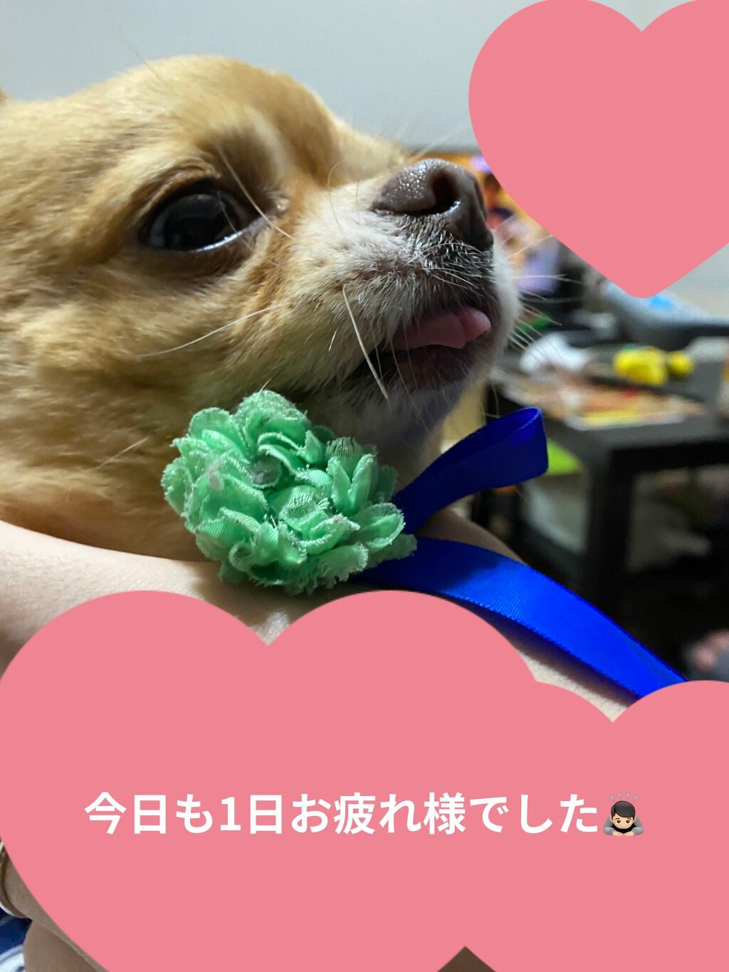 リトルジュエリーコフレ/パラドゥ/マニキュアを使ったクチコミ(6枚目)