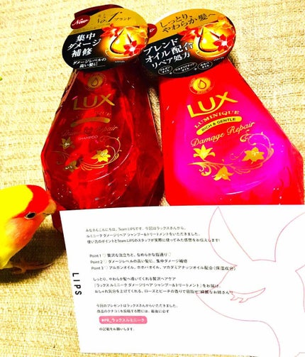 ルミニーク ダメージリペア シャンプー/トリートメント/LUX/市販シャンプーを使ったクチコミ(1枚目)