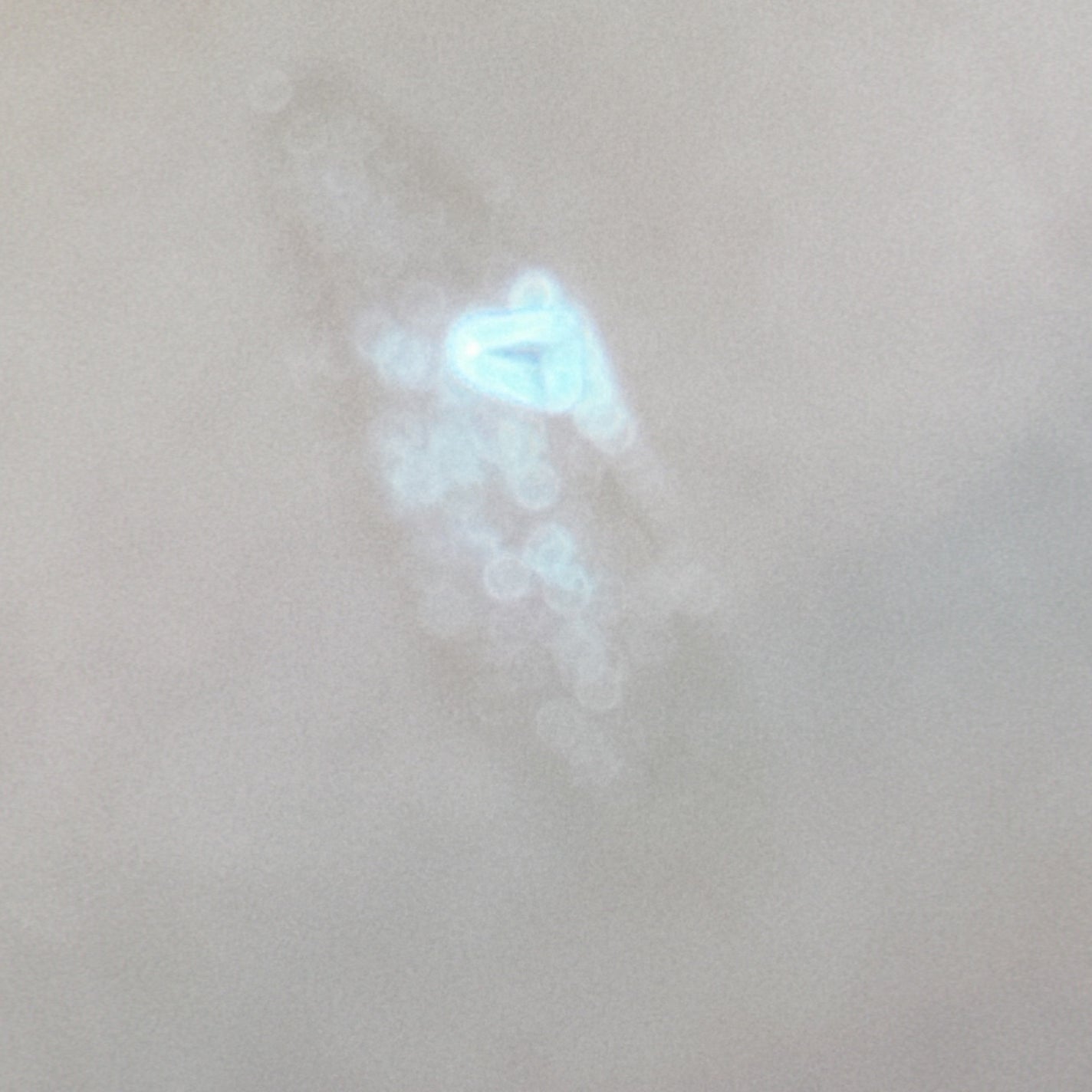 ソレイユ ネージュ グロス リュクス/TOM FORD BEAUTY/リップグロスを使ったクチコミ(5枚目)