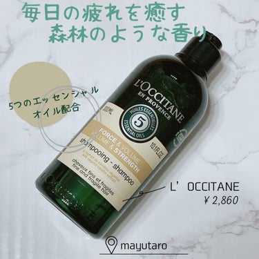 ファイブハーブス ボリューム＆ストレングスシャンプー/コンディショナー/L'OCCITANE/シャンプー・コンディショナーを使ったクチコミ（1枚目）