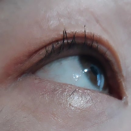 ウォンジョンヨ ヌードアイラッシュ/Wonjungyo/マスカラを使ったクチコミ(4枚目)