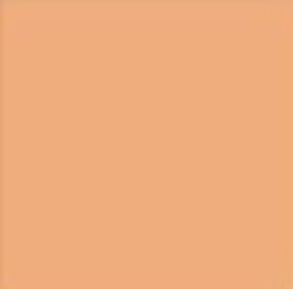 インテリジェント・アクティベール クリーミーファンデーション エレガントベージュ40