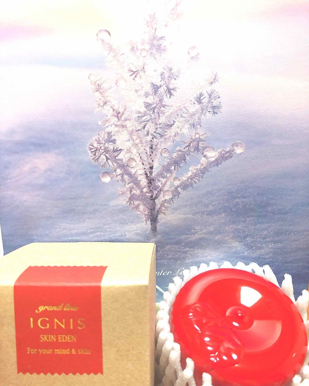 イグニス スキンエデン/IGNIS/オールインワン化粧品を使ったクチコミ(1枚目)