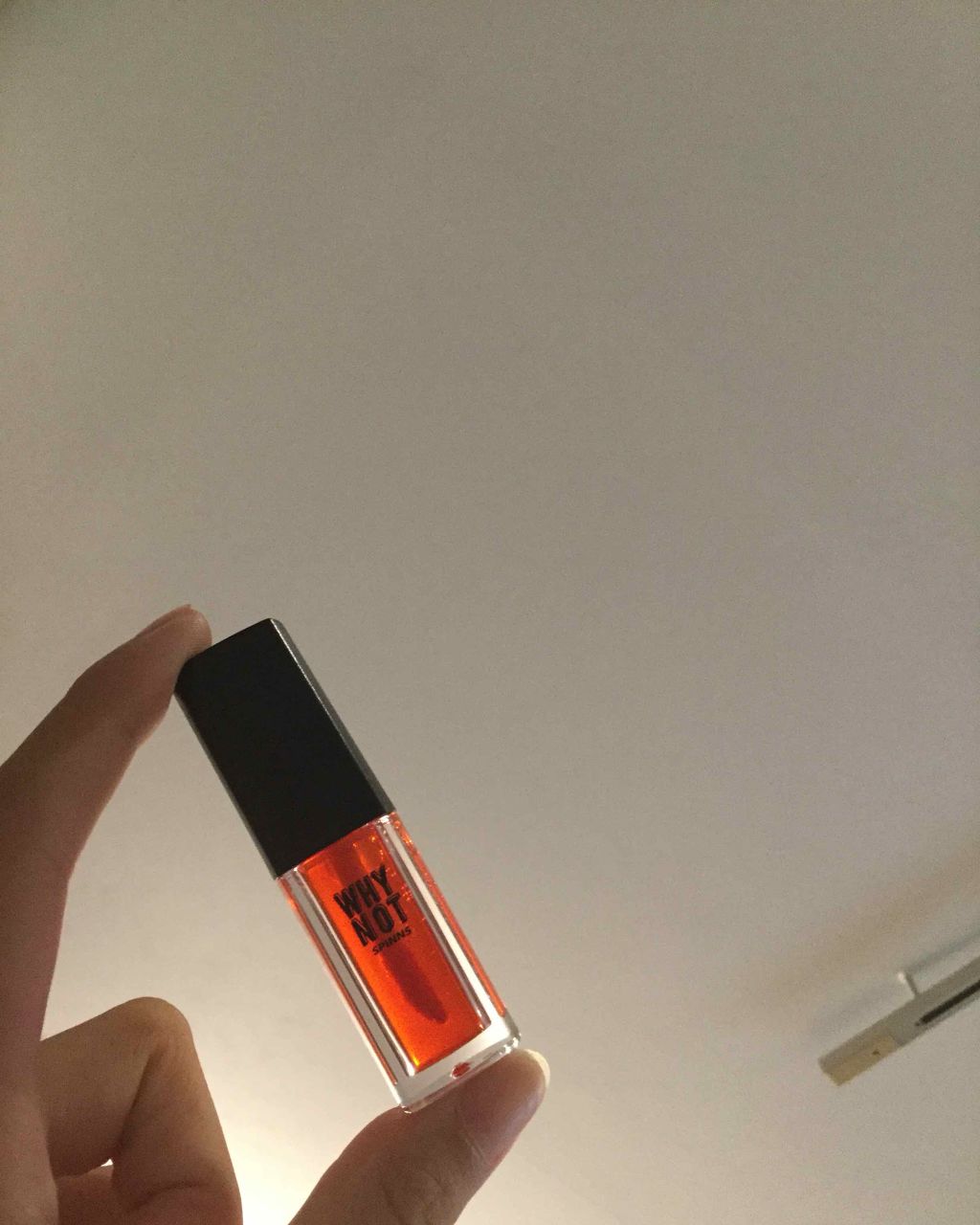 WHY NOT SPINNS リップティント/DAISO/リップティントを使ったクチコミ(1枚目)