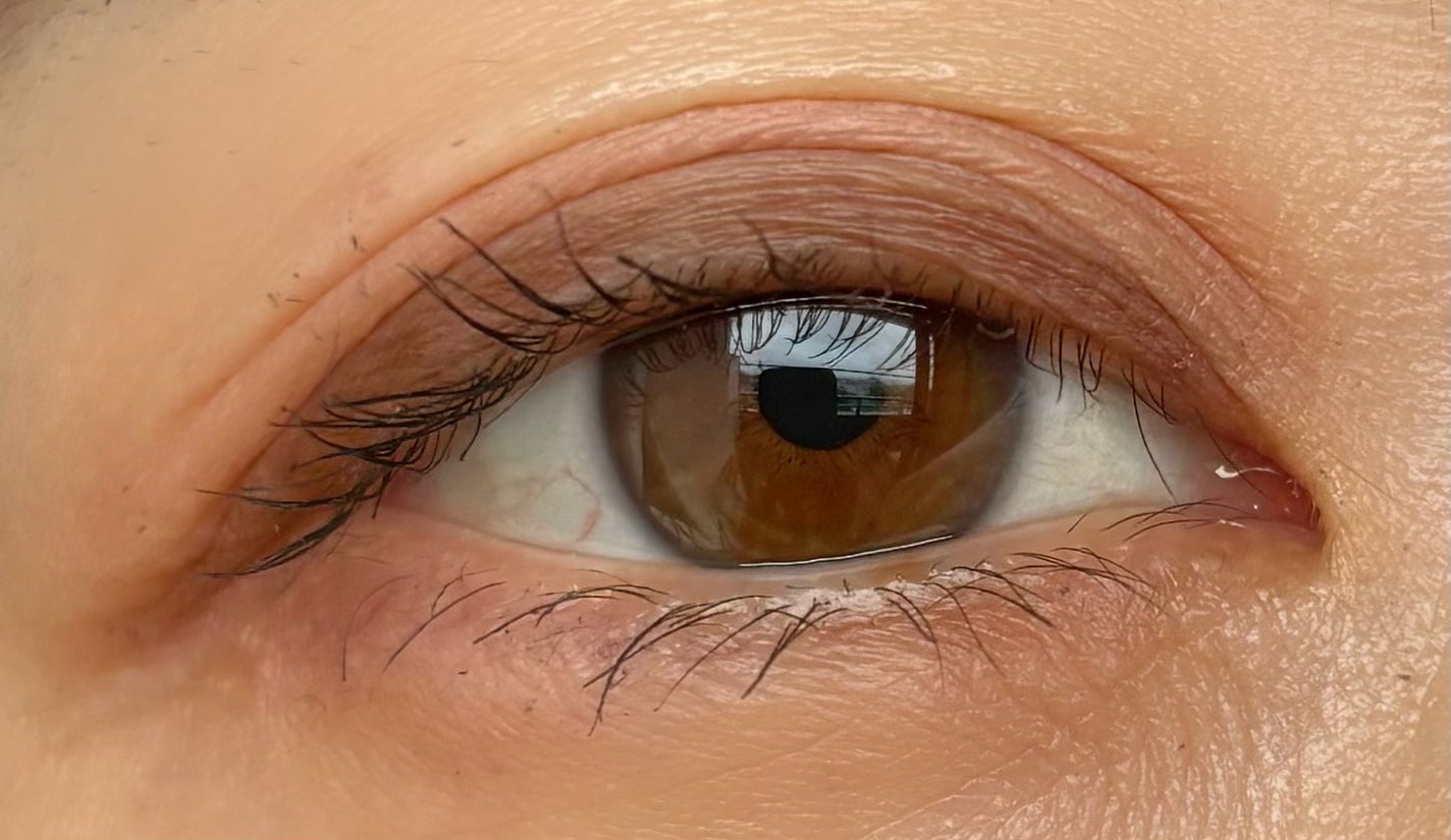 ノーズ&アイブロウパウダー/CEZANNE/パウダーアイブロウを使ったクチコミ(3枚目)