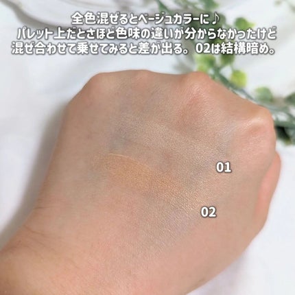 パステルヴェールコンシーラー/キャンメイク/パレットコンシーラーを使ったクチコミ(6枚目)