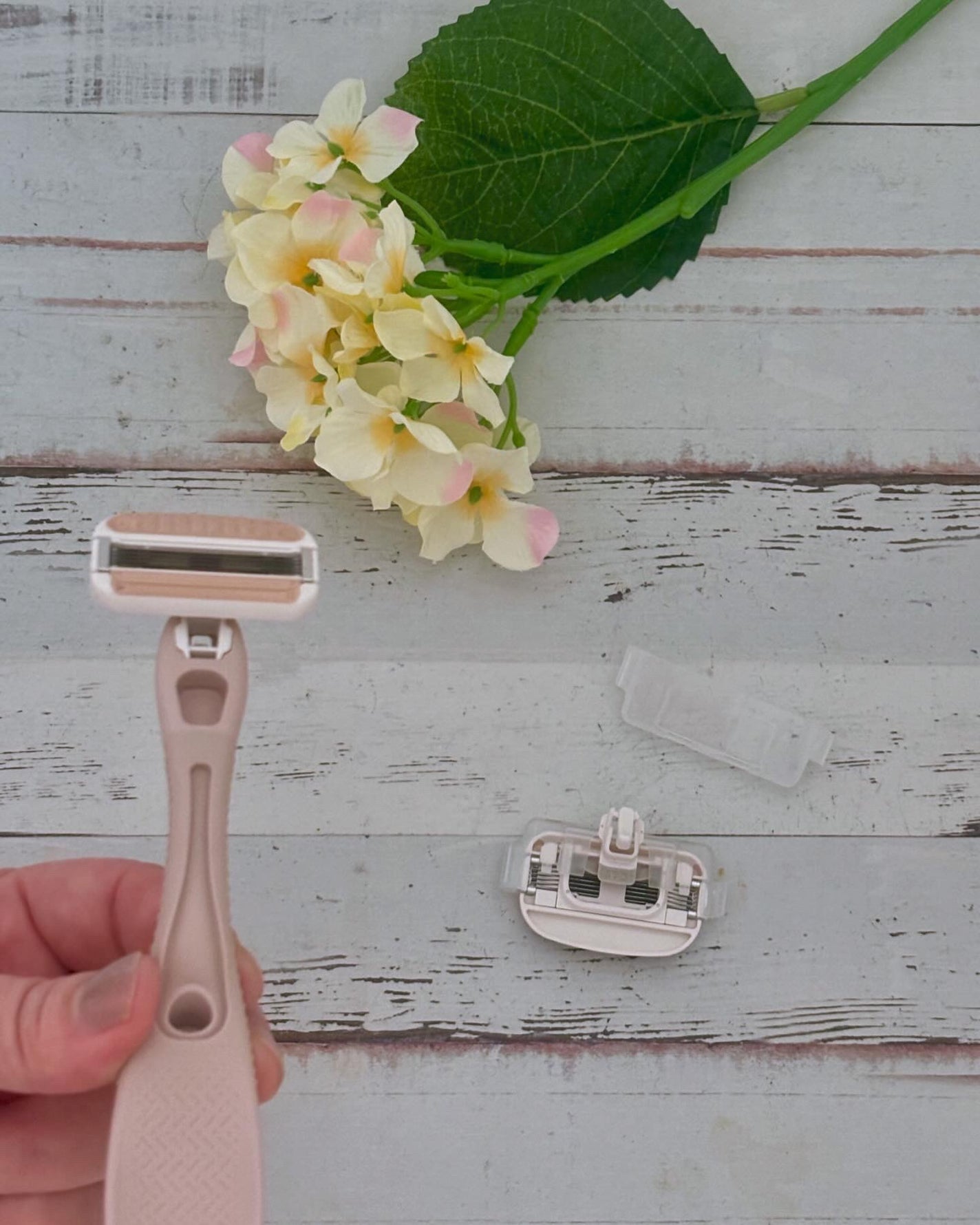 miness ボディ用カミソリ 替刃2個付/貝印/シェーバーを使ったクチコミ(3枚目)