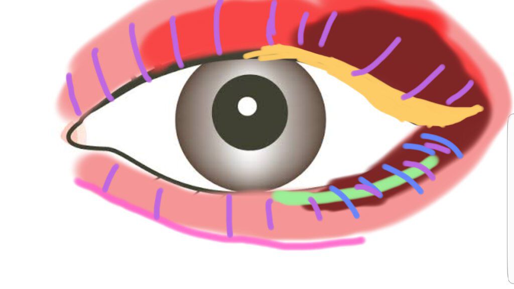 クリーミータッチライナー/キャンメイク/ジェルアイライナーを使ったクチコミ(2枚目)