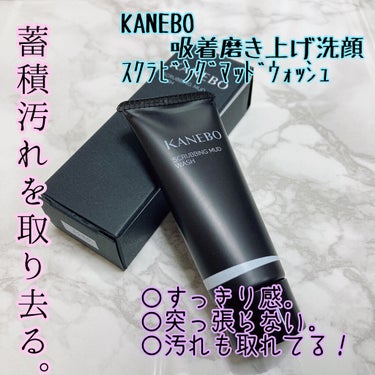 スクラビング　マッド　ウォッシュ/KANEBO/洗顔フォームを使ったクチコミ（1枚目）