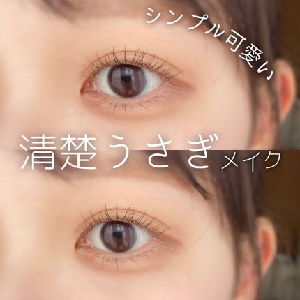 パーフェクトマルチアイズ/キャンメイク/アイシャドウパレットを使ったクチコミ(1枚目)