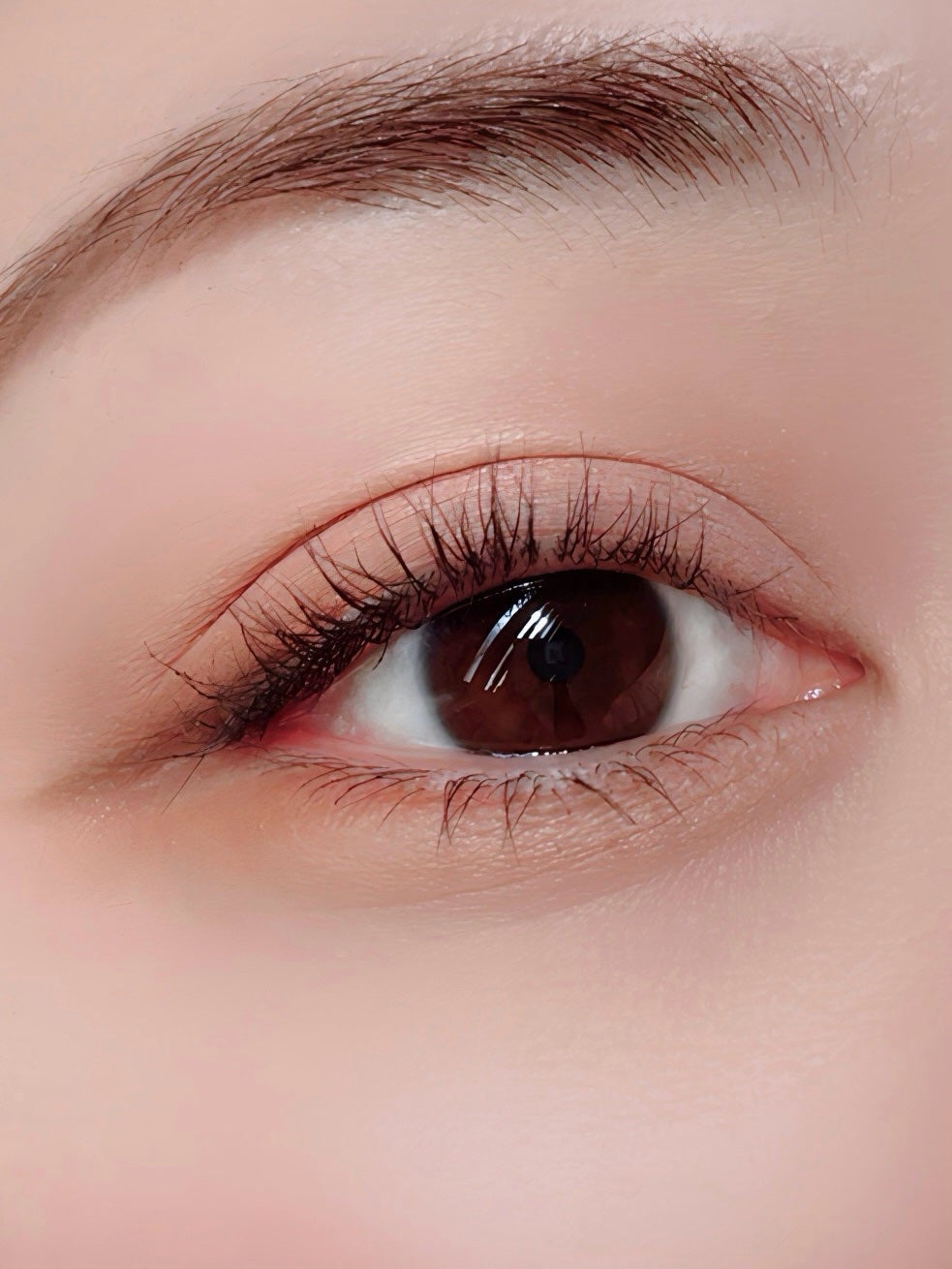 3CE マルチアイカラーパレット/3CE/アイシャドウパレットを使ったクチコミ(4枚目)