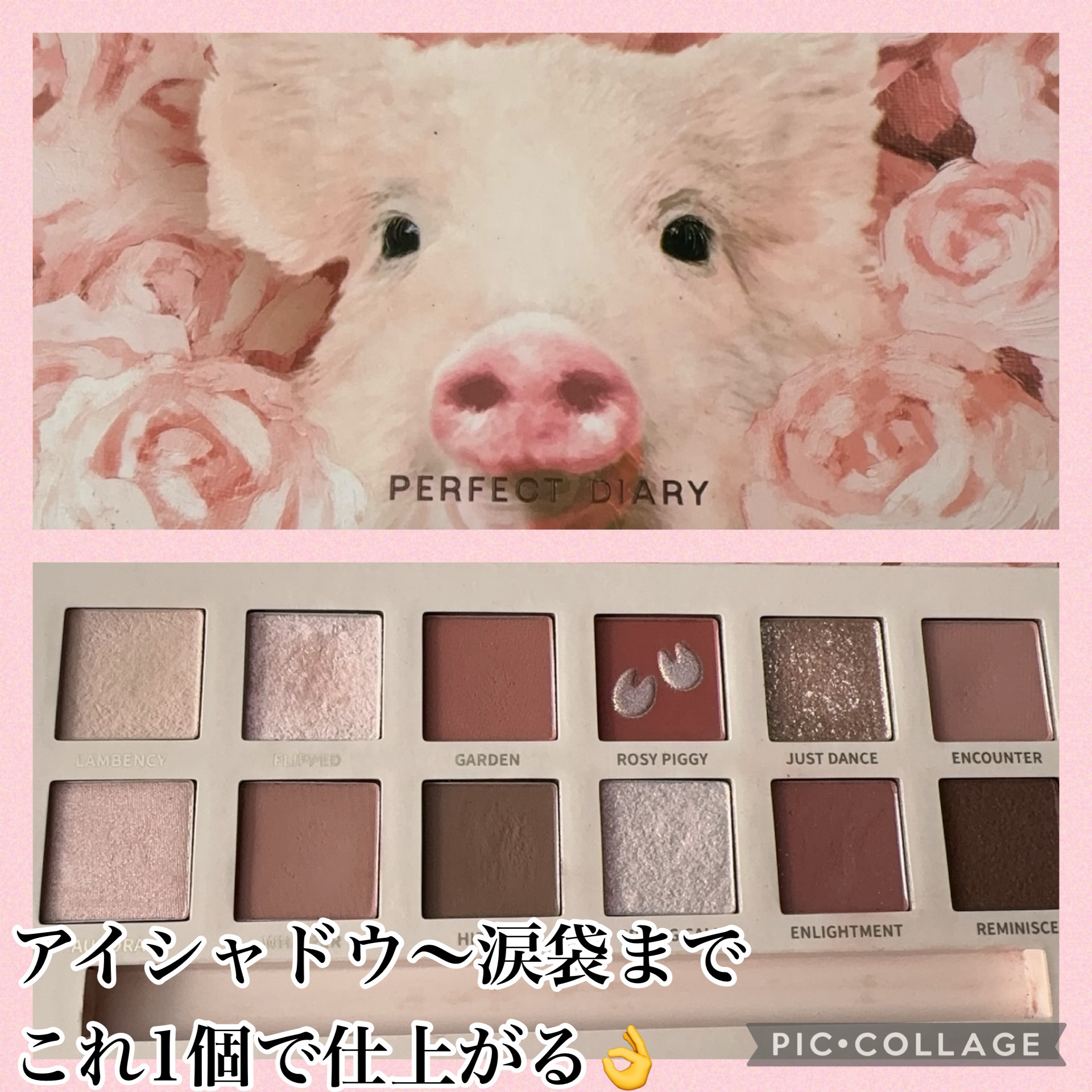 エクスプローラ12色 動物アイシャドウパレット/PERFECT DIARY/アイシャドウパレットを使ったクチコミ（1枚目）