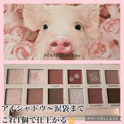 エクスプローラ12色 動物アイシャドウパレット/PERFECT DIARY/アイシャドウパレットを使ったクチコミ(1枚目)