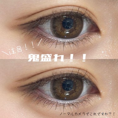 HoneyDrops 1day 15.0mm うるつやブラウン/HONEY DROPS/ワンデー（１DAY）カラコンを使ったクチコミ（1枚目）