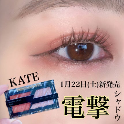 エレクトリックショックアイズ /KATE/アイシャドウパレットを使ったクチコミ(1枚目)