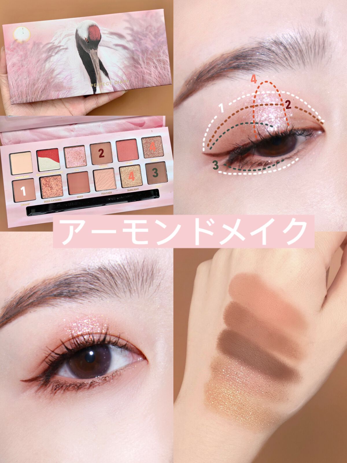 Perfect Diary on LIPS 「PERFECT DIARY / 動物アイシャドウ Perfect Diary on LIPS 「PERFECT DIARY / 動物アイシャドウ