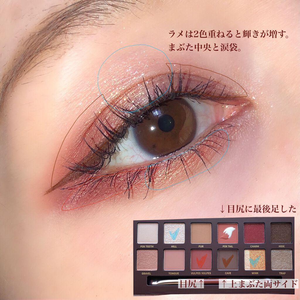 エクスプローラ12色 動物アイシャドウパレット/PERFECT DIARY/アイシャドウパレットを使ったクチコミ(3枚目)