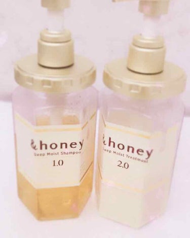 ディープモイスト シャンプー1.0／ヘアトリートメント2.0/&honey/シャンプー・コンディショナーを使ったクチコミ（1枚目）