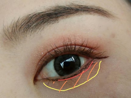 リアルクローズシャドウ/excel/アイシャドウパレットを使ったクチコミ(2枚目)