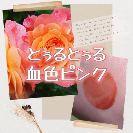 グロウラッピングティント/LIPGUARDIAN/リップティントを使ったクチコミ(1枚目)