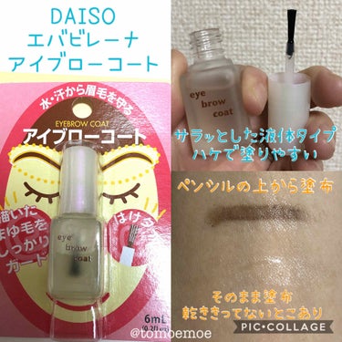 エバビレーナ アイブローコート/DAISO/アイブロウコートを使ったクチコミ（3枚目）