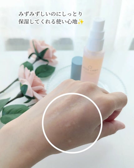 ローズマルチミスト/ROSE LABO/ミスト状化粧水を使ったクチコミ(4枚目)