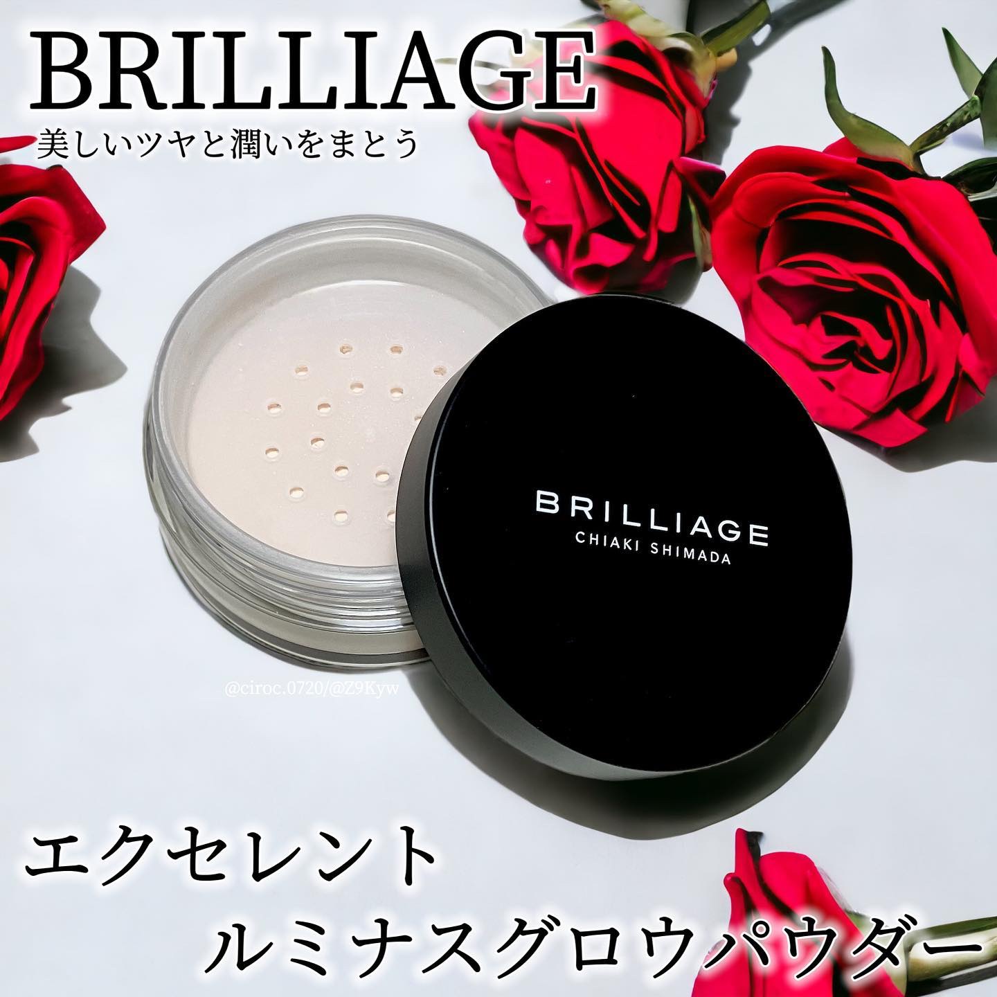 エクセレント ルミナス グロウパウダー /ブリリアージュ/ルースパウダーを使ったクチコミ（1枚目）