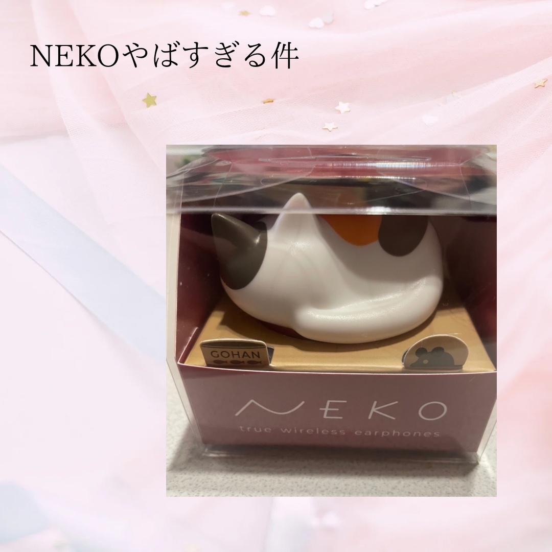 NEKO/RADIUS/その他を使ったクチコミ（1枚目）