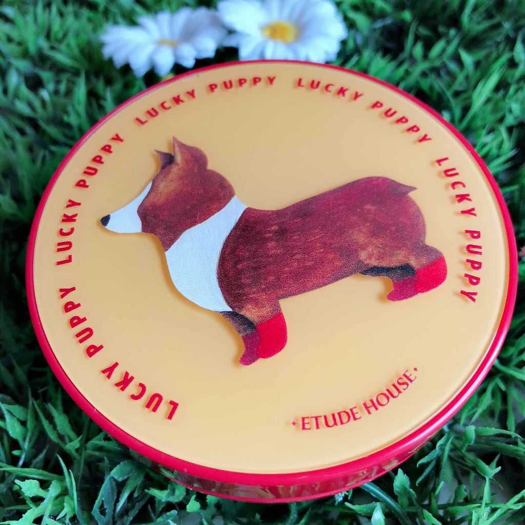 リアルパウダー クッション SPF50+/PA+++/ETUDE/クッションファンデーションを使ったクチコミ(1枚目)