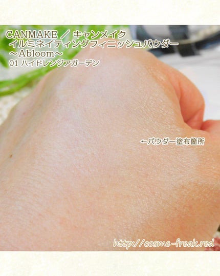 イルミネイティングフィニッシュパウダー ~Abloom~/キャンメイク/プレストパウダーを使ったクチコミ(5枚目)