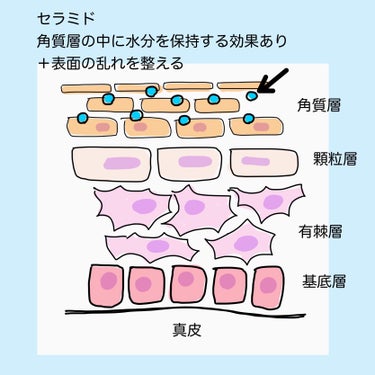 濃密スキンコンディショナー/CEZANNE/化粧水を使ったクチコミ（3枚目）