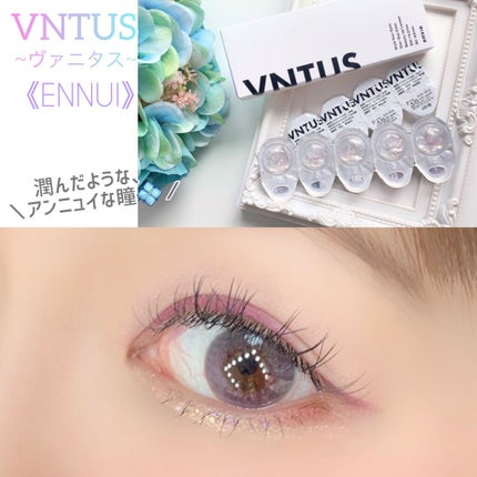 VNTUS 1day/VNTUS/ワンデー(1DAY)カラコンを使ったクチコミ(1枚目)