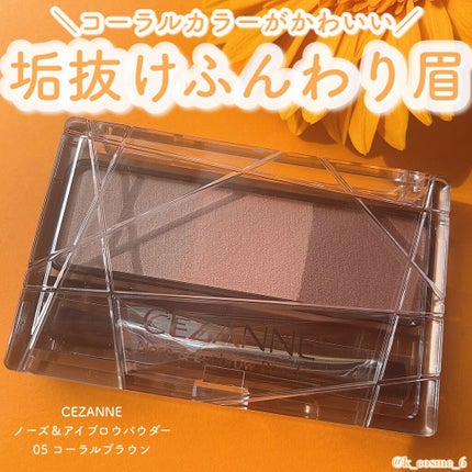ノーズ&アイブロウパウダー/CEZANNE/パウダーアイブロウを使ったクチコミ(1枚目)